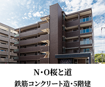 N・O桜と道